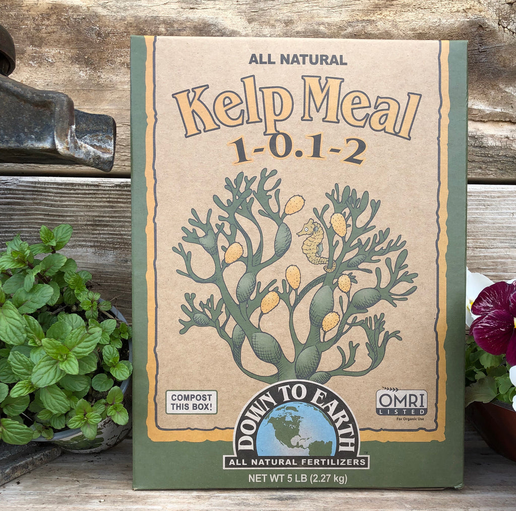 Kelp Meal Organic 1-0.1-2 Fertilizer
