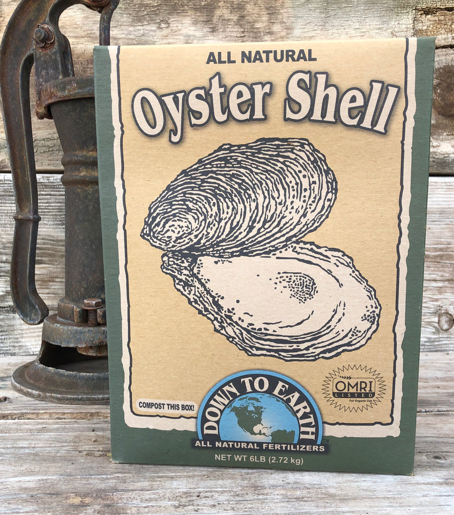 Oyster Shell (Ground)