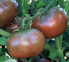 Cherokee Purple Pole Tomato Seed